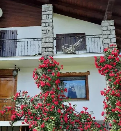 La Casa Di Graziella Apartment